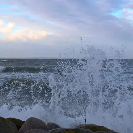 Hébergement de vacances 6 Person In Bogense-by Traum