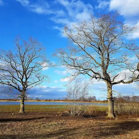6 Person In Bogense-by Traum Tatil Evi *
